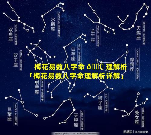 梅花易数八字命 🐞 理解析「梅花易数八字命理解析详解」